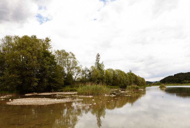 Header-Bild zeigt einen ruhigen Fluss mit einem Kiesbett im Vordergrund, gesäumt von Bäumen und Schilf unter einem bewölkten Himmel.