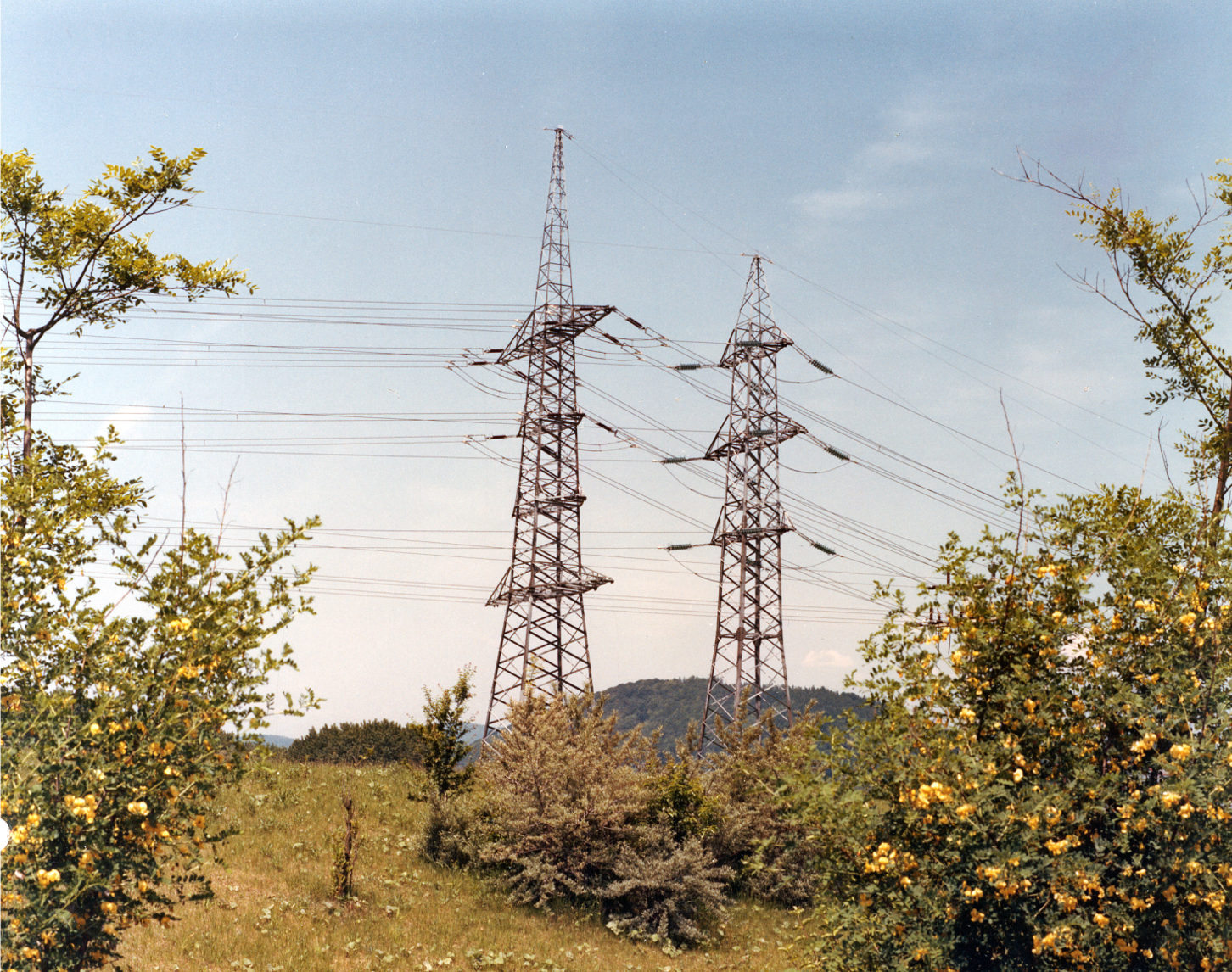 Bild zeigt zwei hohe Strommasten aus Metall auf einem grünen Hügel mit reichlich Vegetation und Bäumen im Vordergrund unter einem bewölkten Himmel.