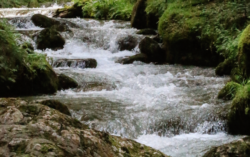 Ein lebendiges kleines Fließgewässer, das sich über abgerundete Steine und umgeben von üppigem Grün schlängelt, vermittelt ein Gefühl von Reinheit und unberührter Natur.